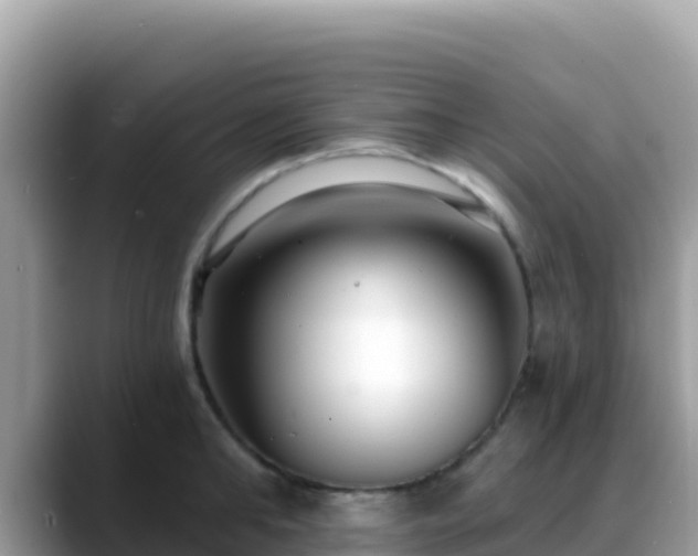 X0000088710902200706071557