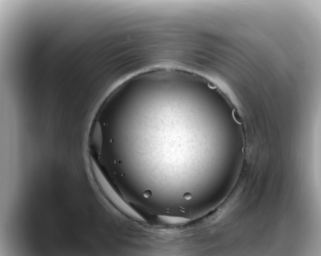 X0000088710903200706071557