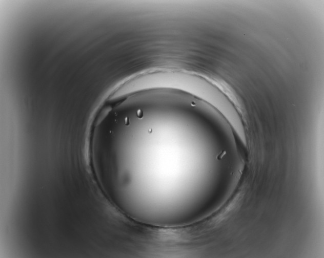 X0000088710904200706071557