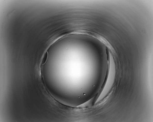 X0000088710908200706071557