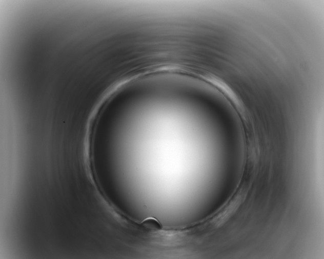 X0000088710910200706071557