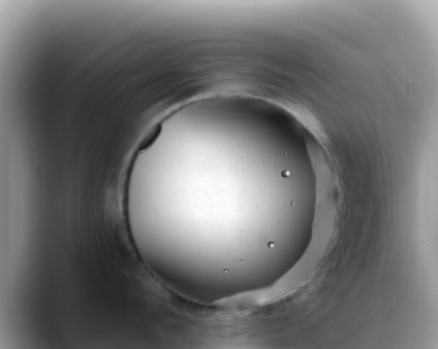 X0000088710912200706071557