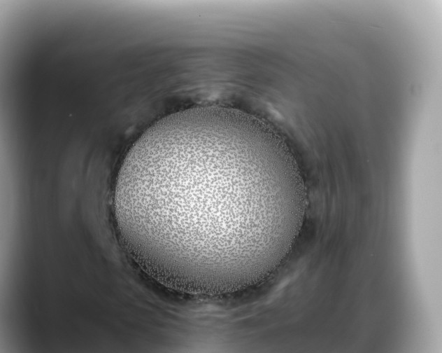 X0000088710913200706071556