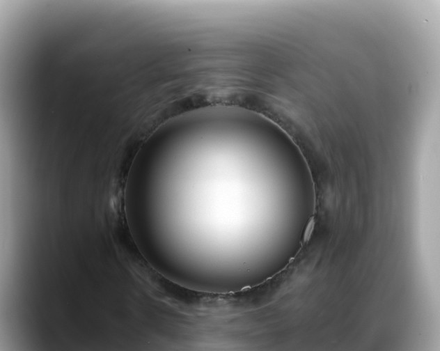 X0000088710914200706071556