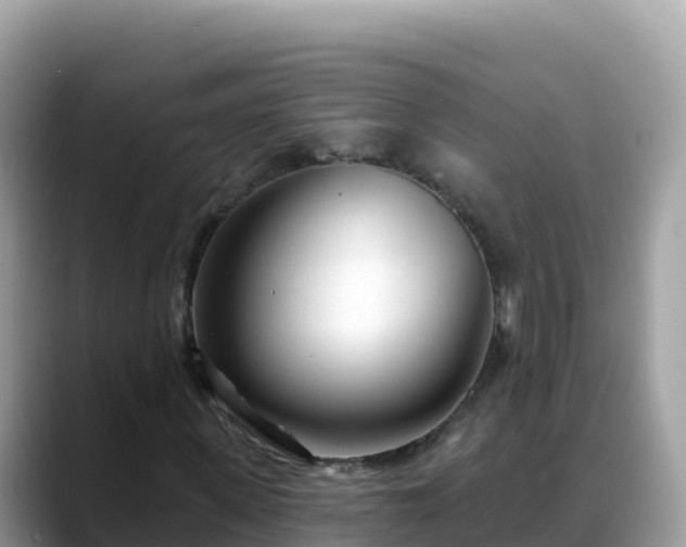 X0000088710915200706071556