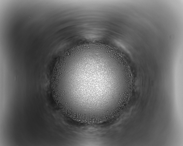 X0000088710917200706071556