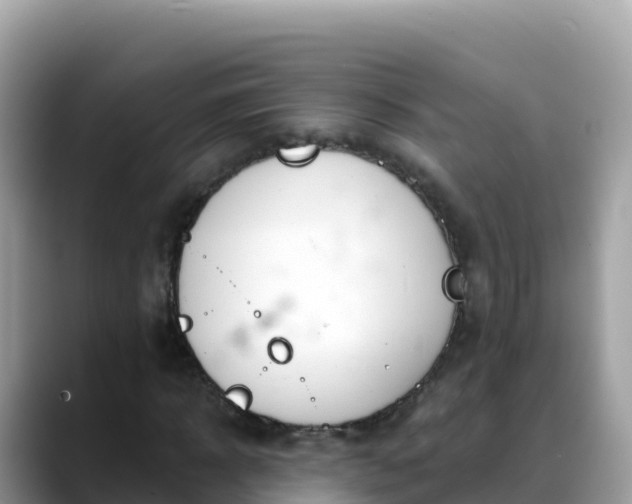X0000088710918200706071556