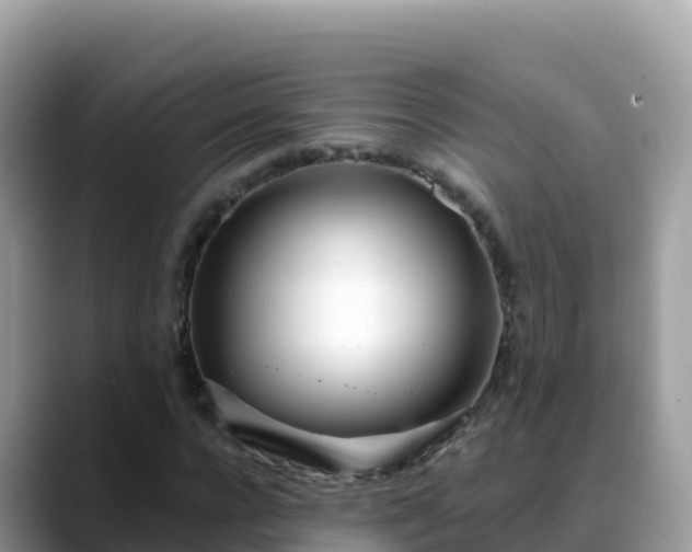 X0000088710920200706071557