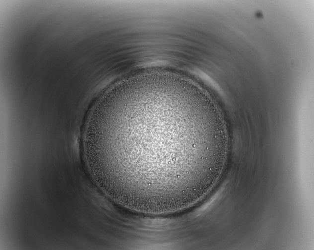X0000088710921200706071557
