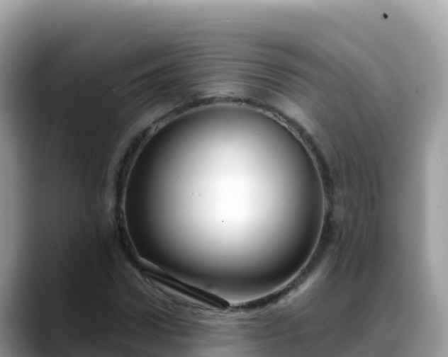 X0000088710922200706071557