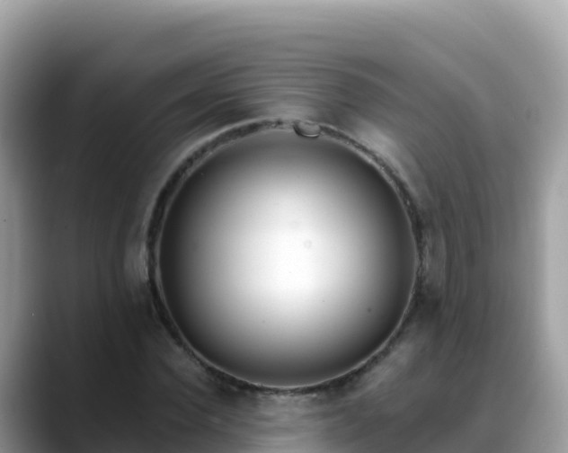 X0000088710924200706071557
