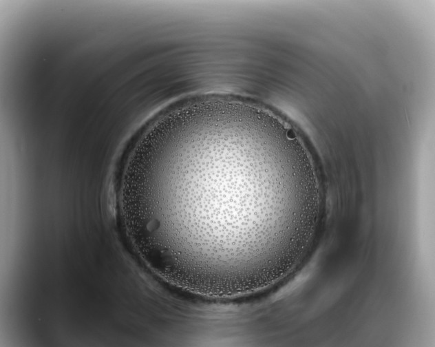 X0000088710925200706071557