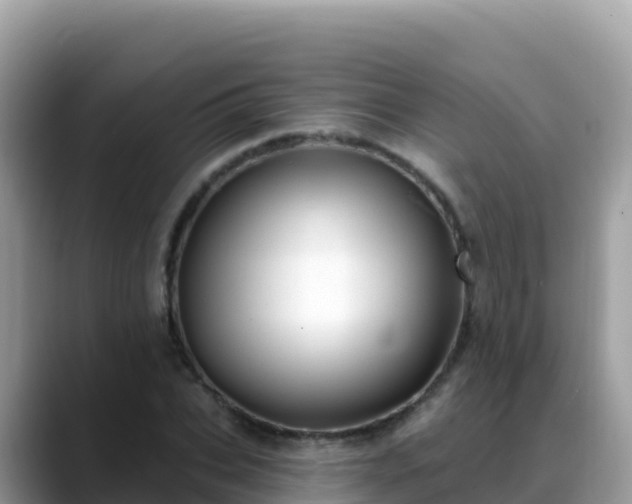 X0000088710927200706071557