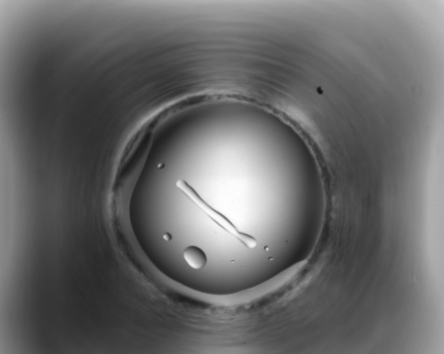 X0000088710928200706071557