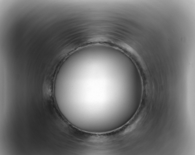 X0000088710929200706071557