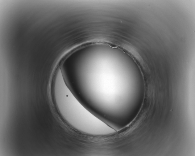 X0000088710936200706071557