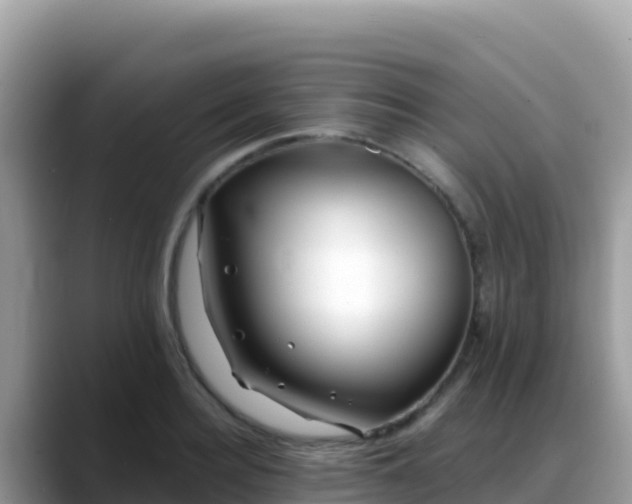 X0000088710940200706071557