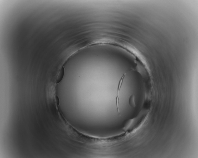 X0000088710945200706071557