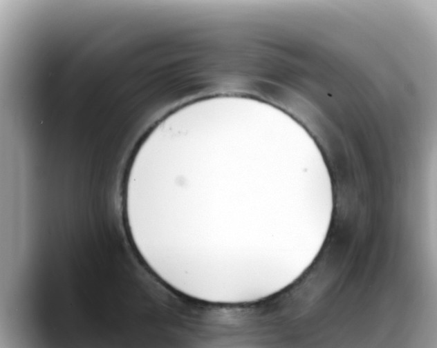 X0000088710950200706071557