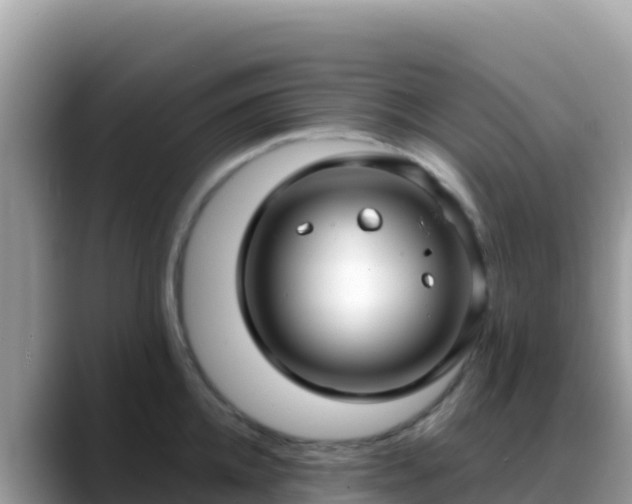 X0000088710952200706071557