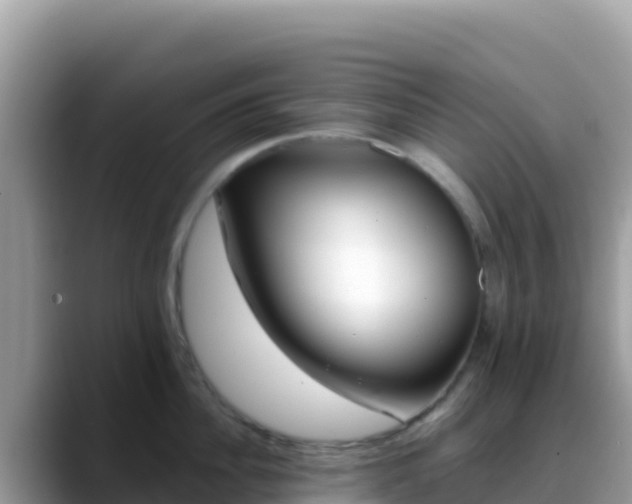 X0000088710956200706071557