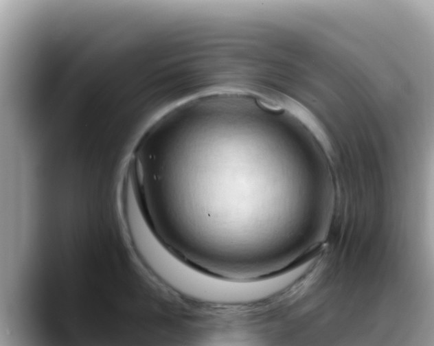 X0000088710958200706071557