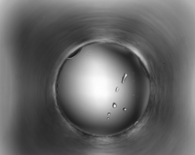 X0000088710959200706071557