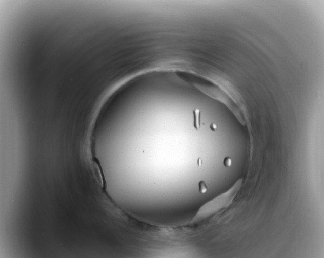 X0000088710960200706071557