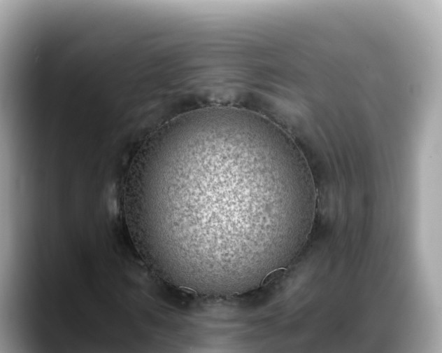 X0000088710962200706071556