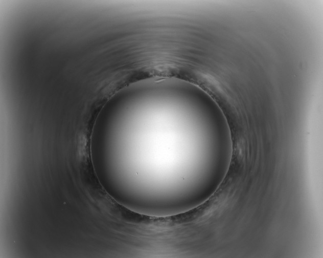 X0000088710964200706071556