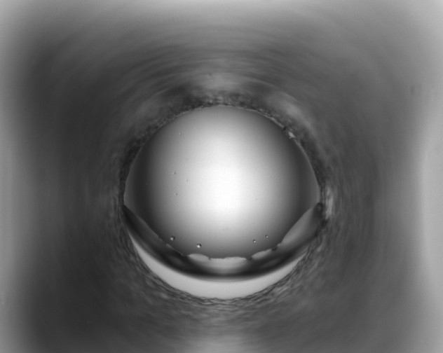 X0000088710965200706071556