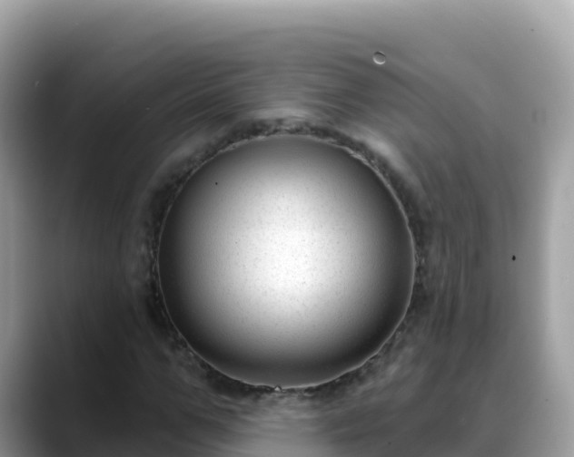 X0000088710967200706071556