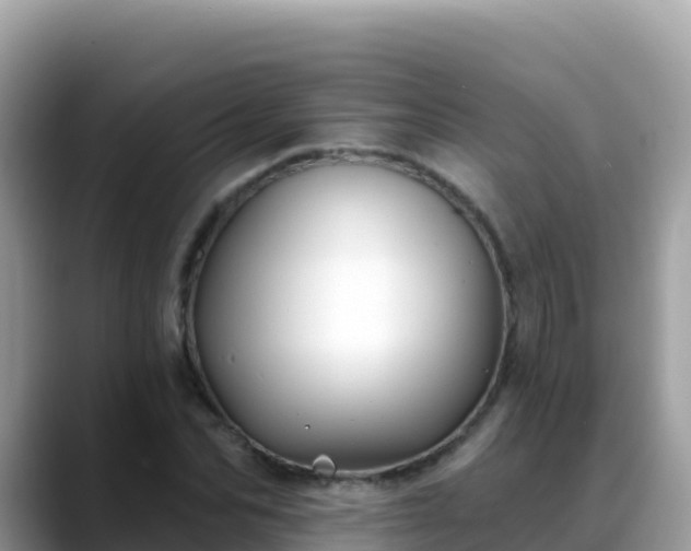 X0000088710974200706071556