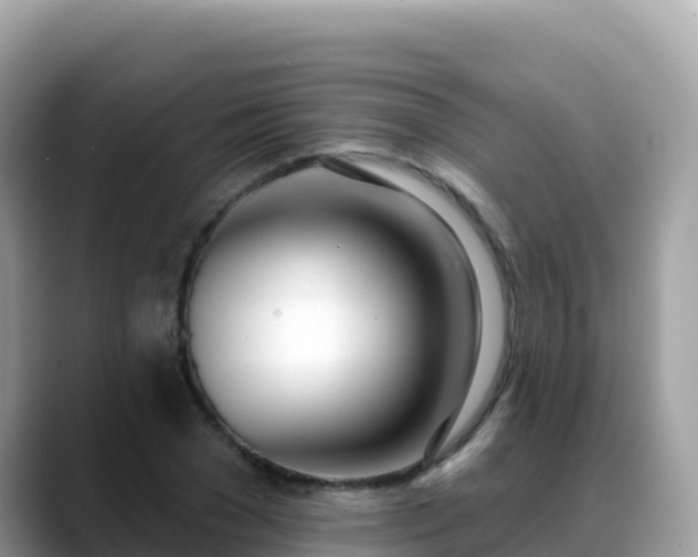 X0000088710977200706071556