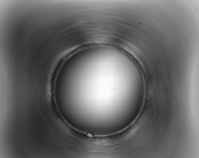 X0000088710979200706071556