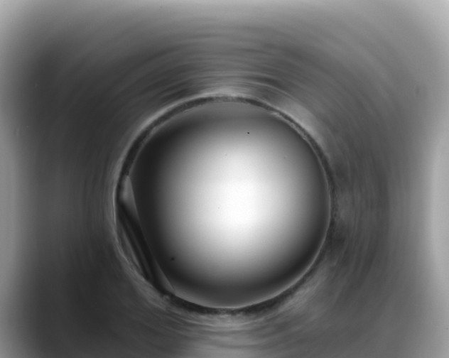 X0000088710980200706071556