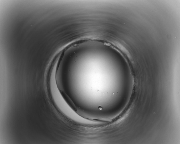 X0000088710981200706071556