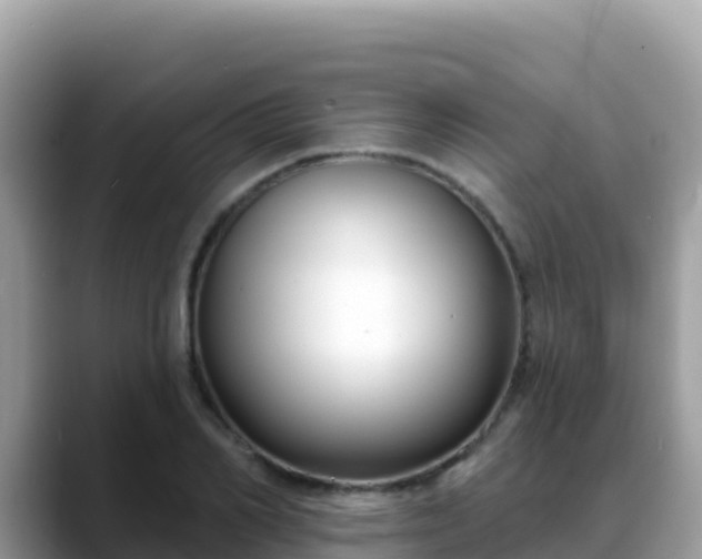 X0000088710982200706071556