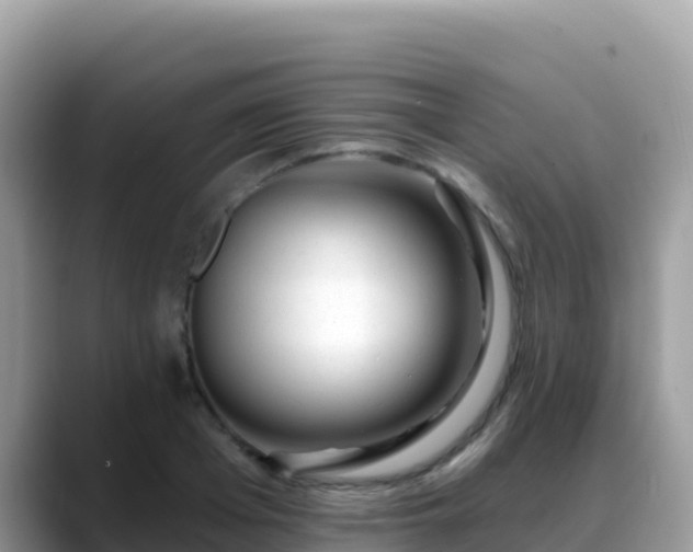 X0000088710985200706071556