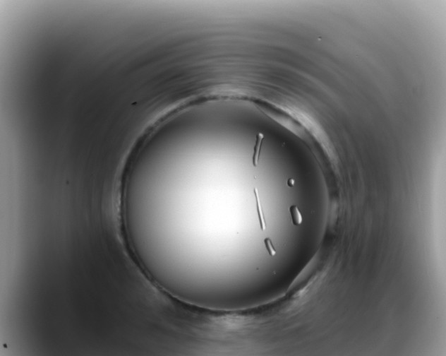 X0000088710992200706071556