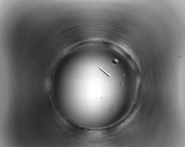 X0000088710993200706071556