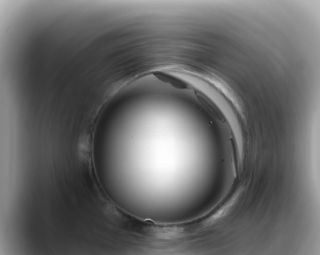 X0000088711001200706071556