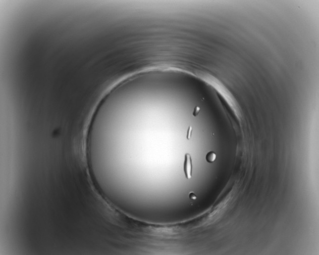 X0000088711004200706071556