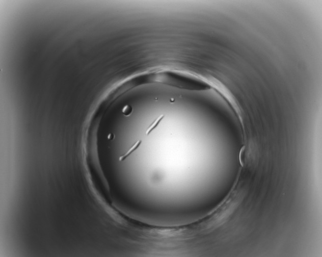 X0000088711005200706071556