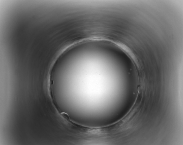 X0000088711006200706071556