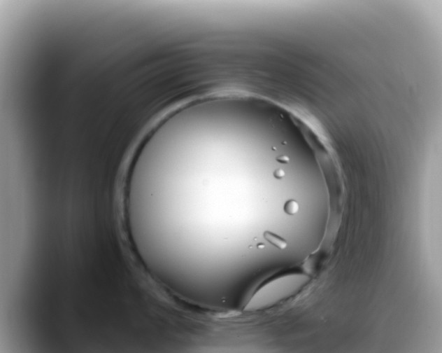 X0000088711008200706071556