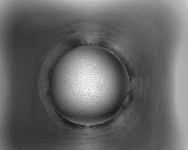 X0000088711009200706071555