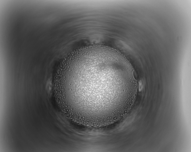 X0000088711011200706071555