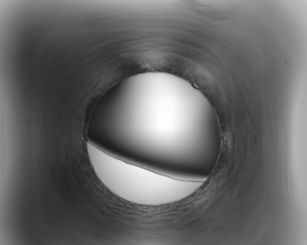 X0000088711012200706071555