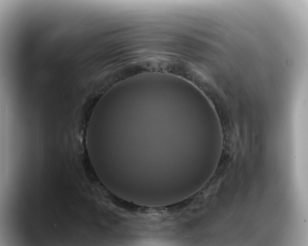 X0000088711013200706071555